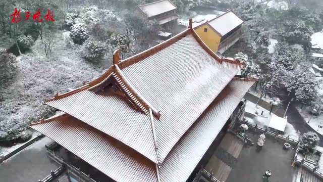 紫牛拍咖丨一起看看,雪后的太子山公园究竟有多美