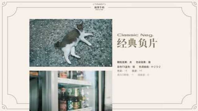 FUJIFILM RECIPES 新春合辑,一起感受春天的味道~