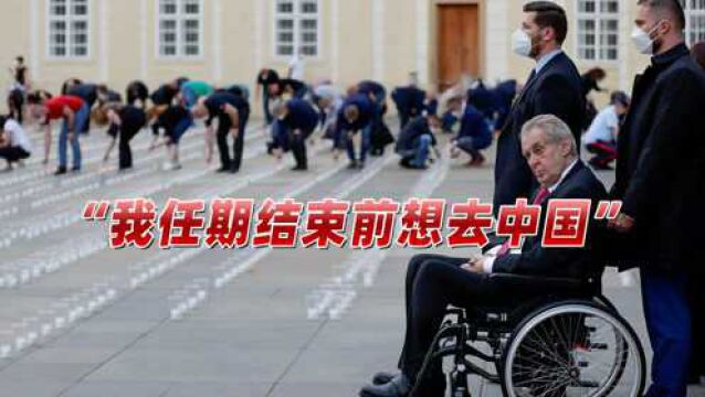 “任期结束前想再去中国!”捷克总统隔空“表白”,原因令人感叹