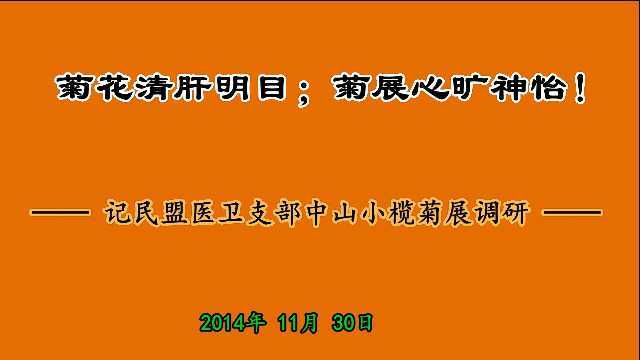 菊花清肝明目;菊展心旷神怡!