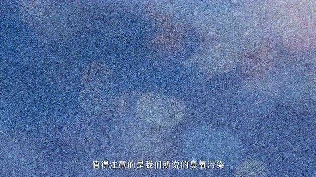 秒懂生态环境与健康 | 第10集 空气污染会对呼吸系统心血管系统等造成不良影响