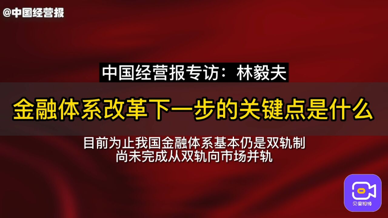 林毅夫:金融结构要重视中小银行,金融价格要放开储蓄利率