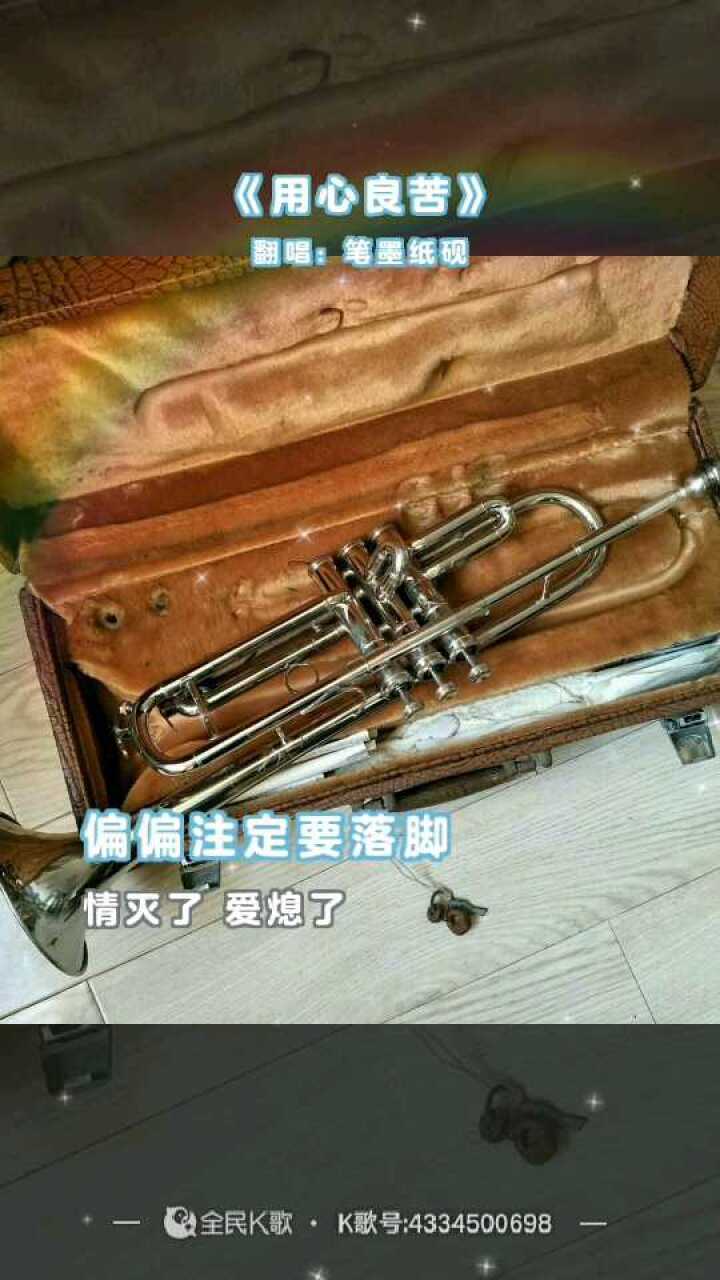 《用心良苦》陆学军.