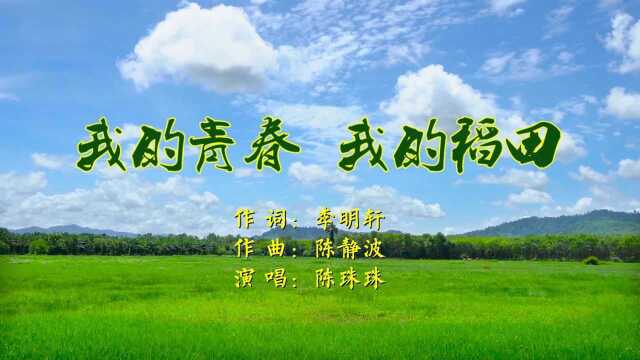 关于歌曲《我的青春我的稻田》创作说明