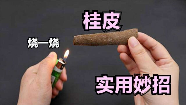 桂皮放火上烧一烧,解决每家每户大麻烦,实用又省钱,帮大忙