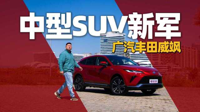 《胖哥试车》中型SUV新军!胖哥试驾广汽丰田威飒