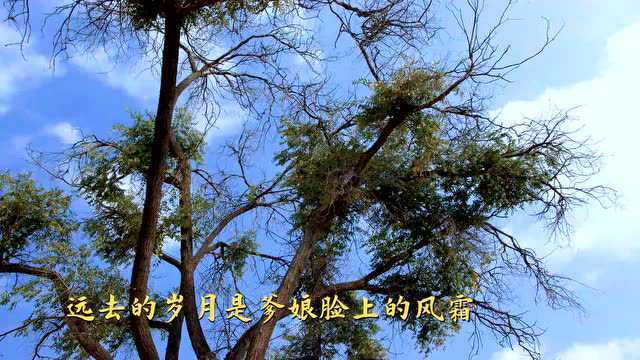 乡音依旧,青丝却变白发……一曲《乡愁》述说对故土、亲人的思念与依恋 | 民歌中国ⷨ”星计划