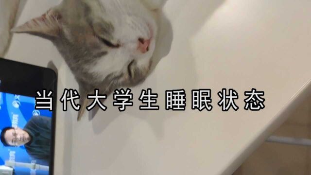 当代大学生睡眠状态:你这个年纪怎么睡得着的