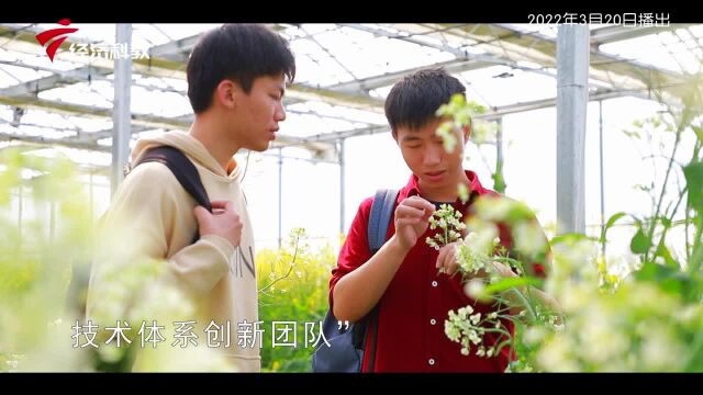 广东新风采——韶关学院