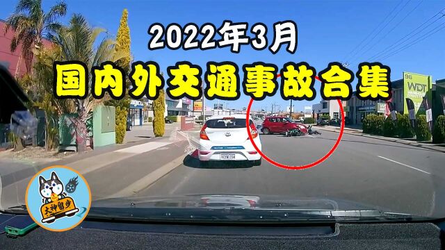 知危险会避险:2022年3月国内外道路交通事故合集(第307期)