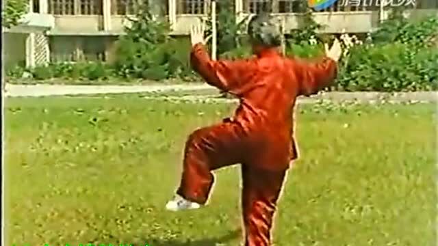 [珍贵经典](56)扎西大师传统杨氏太极拳85式第三段慢动作(1995版附拳谱)