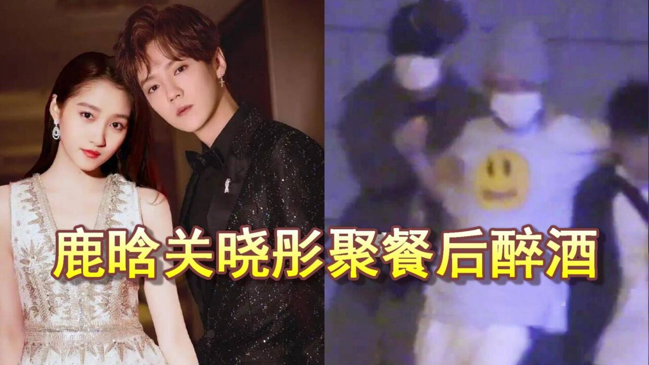 鹿晗关晓彤深夜与好友聚餐,同醉酒被搀扶,两人一起坐车回家