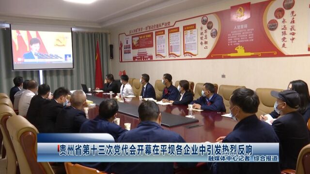 贵州省第十三次党代会开幕在平坝各企业中引发热烈反响