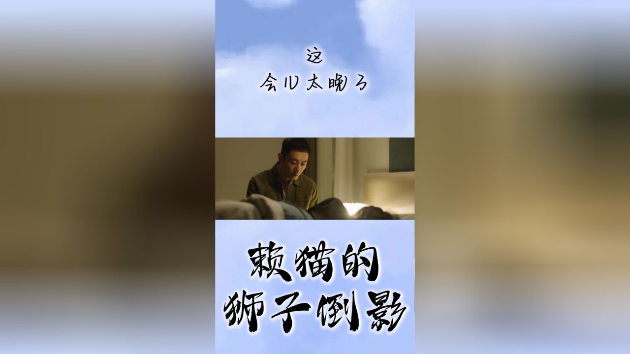 赖猫的狮子倒影:这会儿太晚了