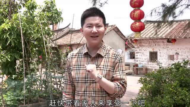 主播带你游 | 行走大埔村 感受悠然乡村游