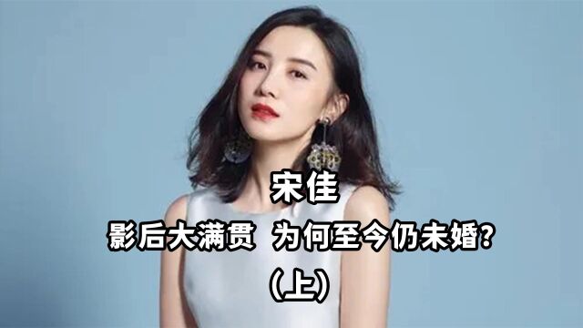 宋佳:经典角色的实力派演员,年逾40依然心态平和的人生赢家!