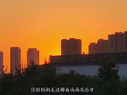 人生就是一场盛大的遇见,有些人终究只是你生命的过客.#日落黄昏 #情感文案