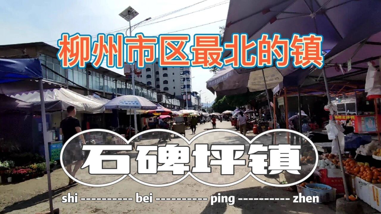 柳州市区最北的一个镇,石碑坪镇,这里远离市区