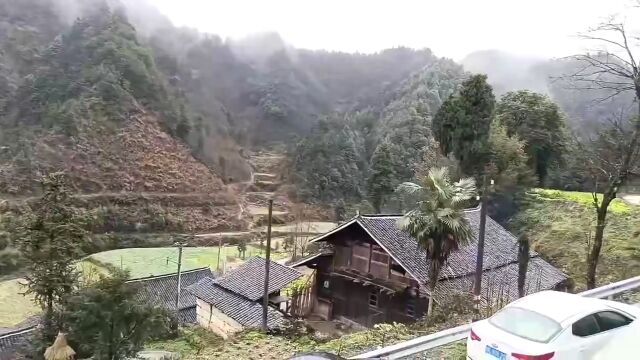 虎年春节新年回家实拍老家新农村美景风景