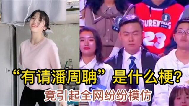 潘周聃到底是什么梗?一夜之间引起全网模仿,你觉得谁更像呢?