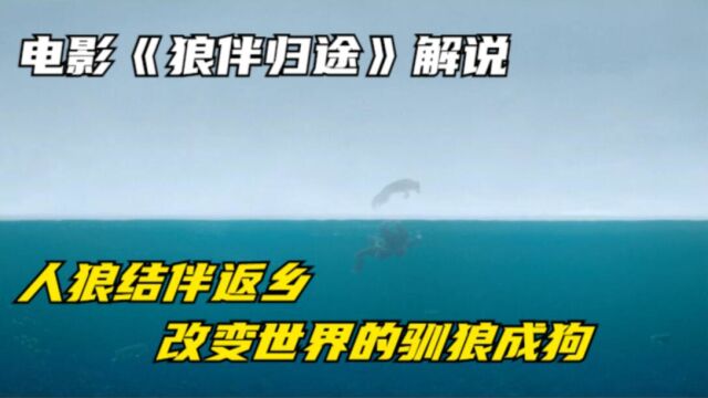 改变人类历史的撸狼,原始部落少年驯狼成犬的返乡路