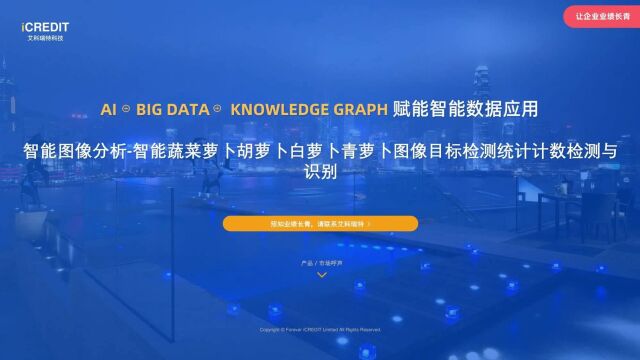 智能图像分析智能蔬菜萝卜胡萝卜白萝卜青萝卜图像目标检测统计计数检测与识别艾科瑞特科技(iCREDIT)