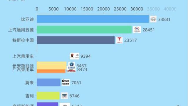 2021年各电动汽车品牌销量变化