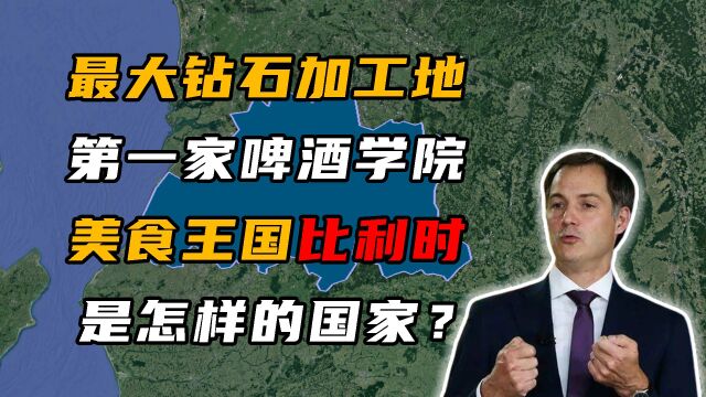 被称为美食王国的比利时有多奇葩?炸薯条:我竟然被当成了国菜!