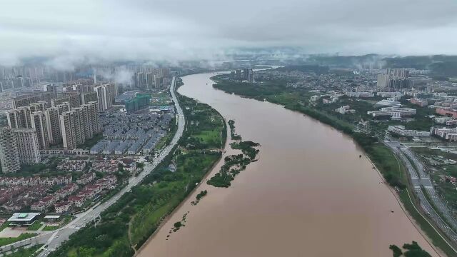 视频|河源龙川枫树坝水库六闸齐放,东江河道溢满洪水