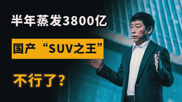 半年蒸发3800亿,20万股东人均亏超100万,国产“SUV之王”不行了