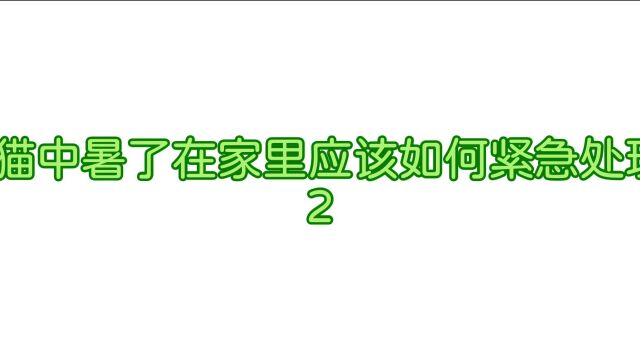 犬猫中暑了在家里应该如何紧急处理?2如有需要查看简介咨询宠物医生