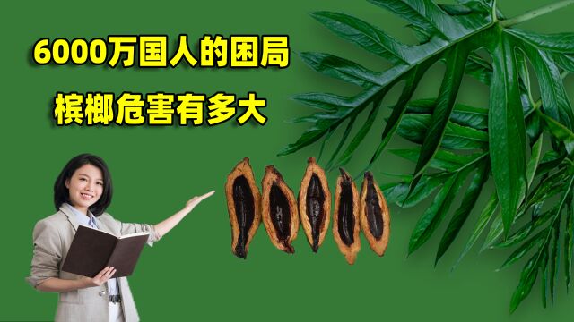 6000万国人的困局,槟榔危害有多大,我们如何走出槟榔的陷阱?