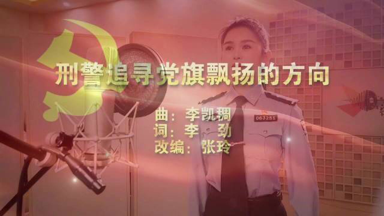 刑警追寻党旗的方向刑侦利剑守护平安刑侦奋战百日行动