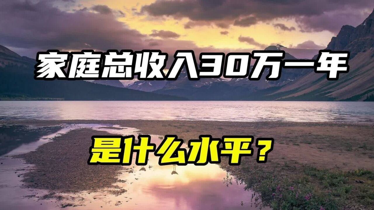 家庭总收入30万元一年,是什么水平?