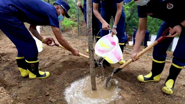 攀枝花森林消防植新绿,助力山水宜居公园城市建设