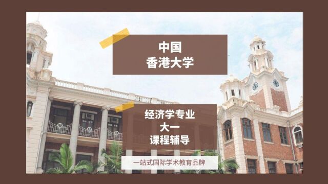 中国香港大学经济学大一课程辅导|dissertation|essay|presentation