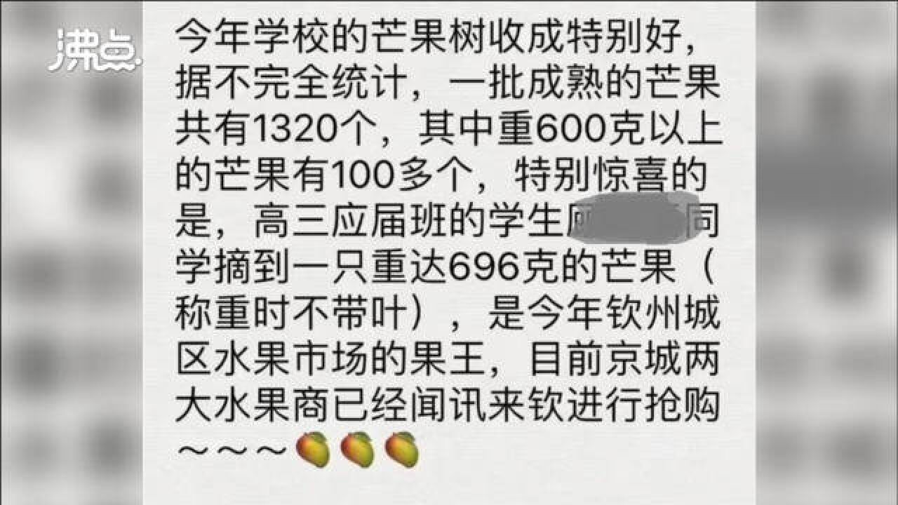 广西有学校用芒果暗喻高考成绩?当地:已要求学校撤回相关信息