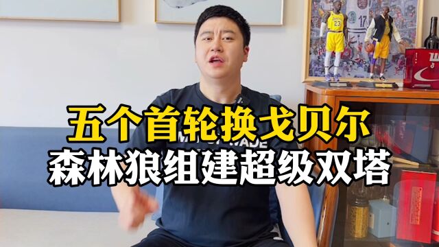 大史爱篮球:五个首轮换戈贝尔!森林狼组建超级双塔!