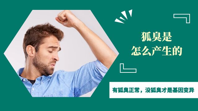 狐臭是怎么产生的?研究证实:有狐臭正常,没狐臭才是基因变异