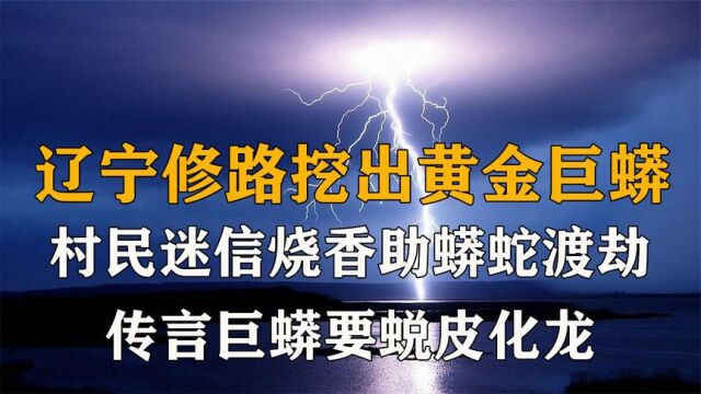 辽宁修路挖出黄金巨蟒,村民烧香助蟒蛇渡劫,传言巨蟒要蜕皮化龙