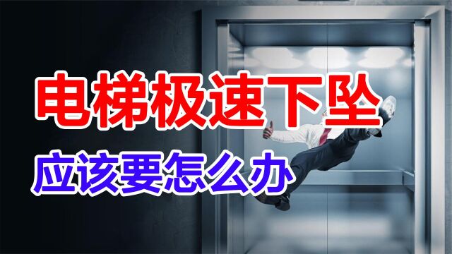 我们被侏罗纪公园骗了,真实的恐龙是这样的,关于恐龙的6个真相