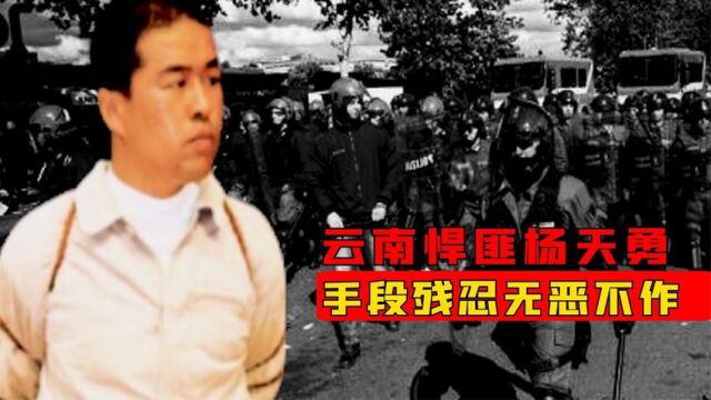 云南地下黑老大杨天勇,为非作歹为祸昆明10多年,被捕后结果如何