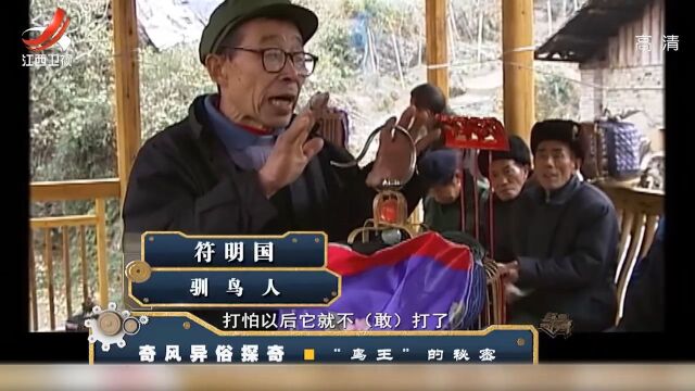 鸟王:老汉的鸟赢得“鸟王”称号,大老板出高价老汉都不卖