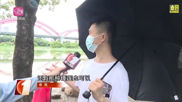 试运行期间免费!洪湖公园停车场将实行网上预约,指南来了→