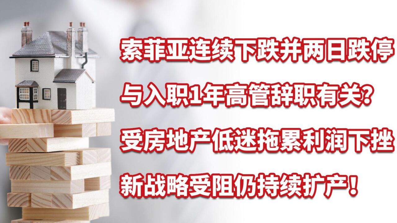 索菲亚连续两日跌停,与高管辞职有关?受房地产低迷拖累利润下挫