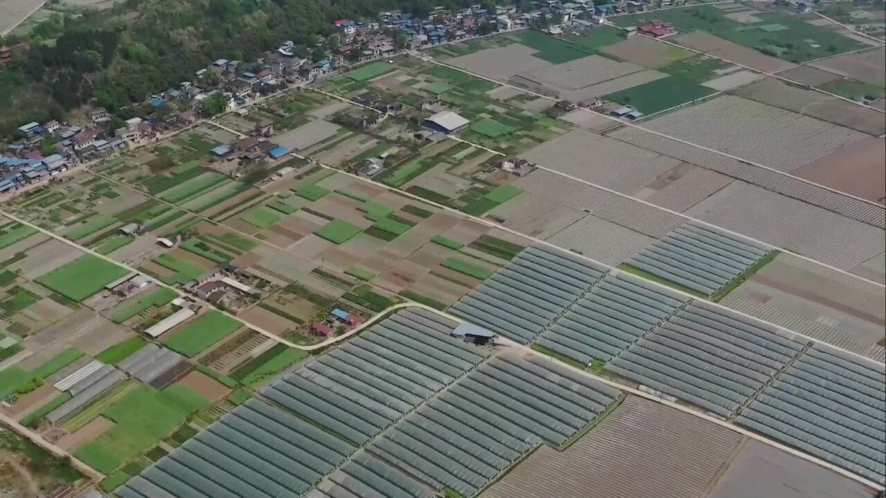 (电视通稿ⷥ›𝥆…ⷦ𓕦𒻩四川资阳首次使用无人机破获非法捕捞案