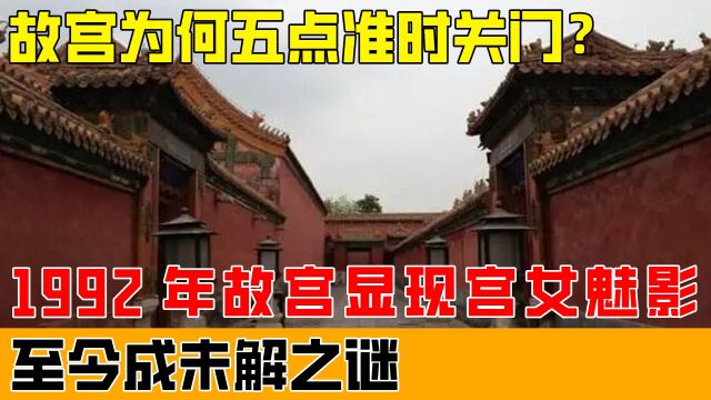 故宫为何五点准时关门?1992年故宫显现“宫女魅影”,至今成未解之谜