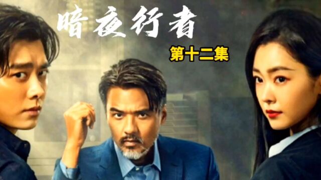 2022最好看悬疑缉毒警匪剧李易峰宋轶领衔主演《暗夜行者》