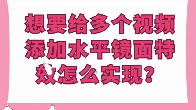 想要给多个视频添加水平镜面特效可以吗?