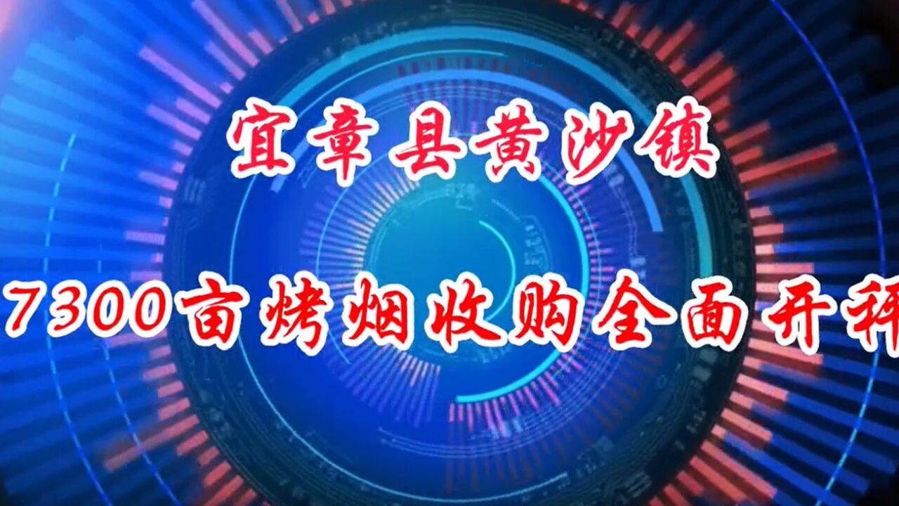 宜章县黄沙镇:7300亩烤烟收购全面开秤